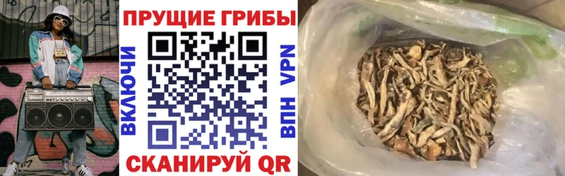 Псилоцибиновые грибы Psilocybe  Купить где  Камень-на-Оби 